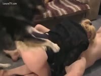 Horny golden-haired getting zoophilia enjoyment